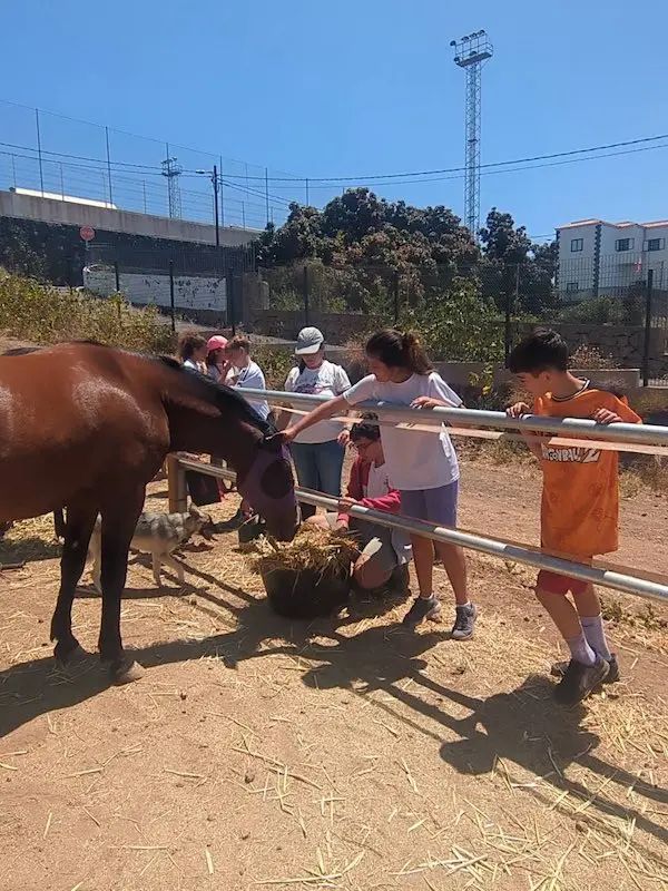 Grupo de alumnos interactuando con un caballo durante una visita educativa en NA Stablos