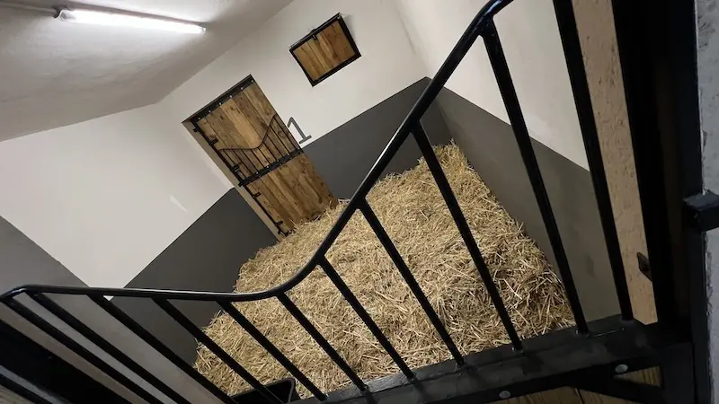 Box amplio con cama de paja fresca recién preparado