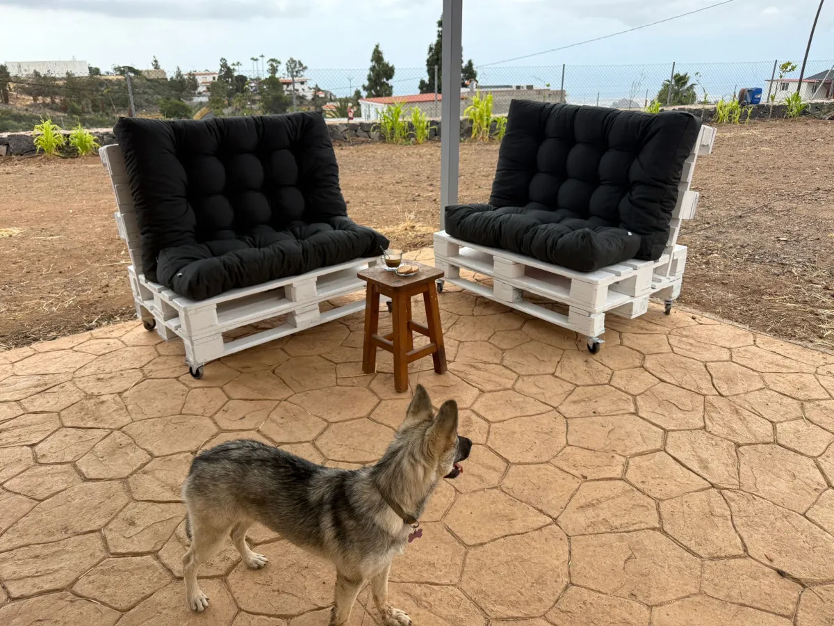 Caballos interactuando en NA STABLOS