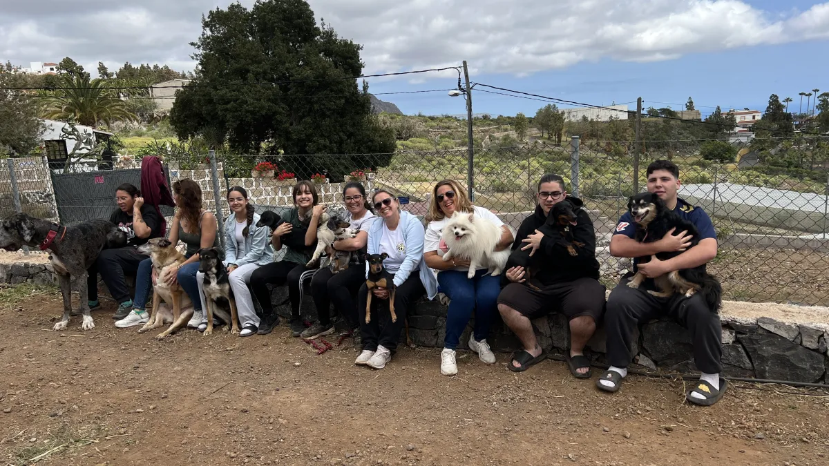 Caballos en grupo disfrutando del espacio
