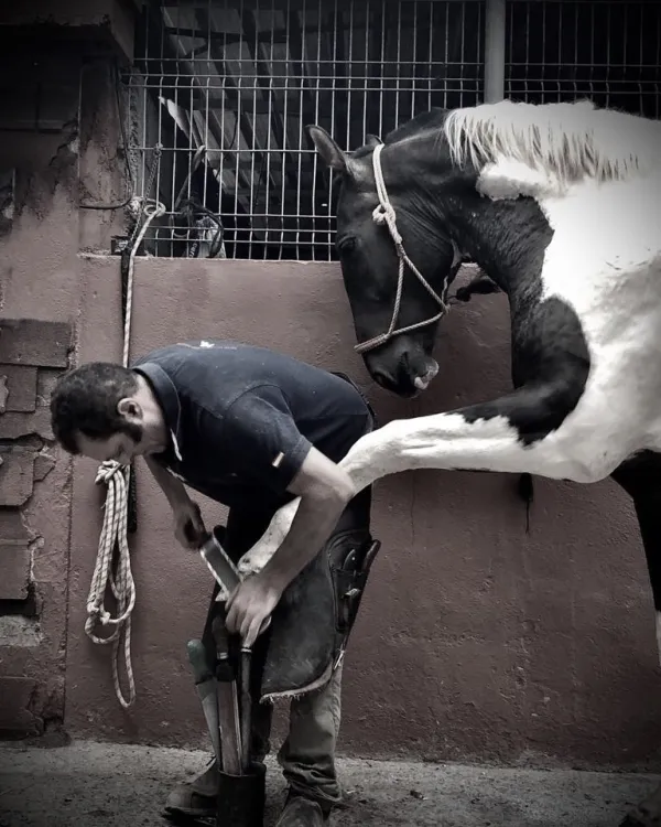 Talleres de herrería