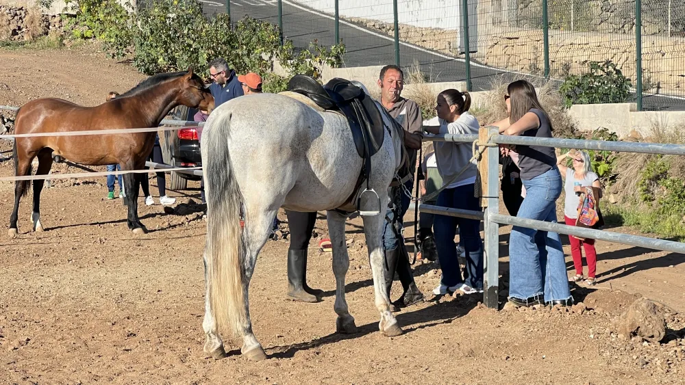 Interacción con caballos
