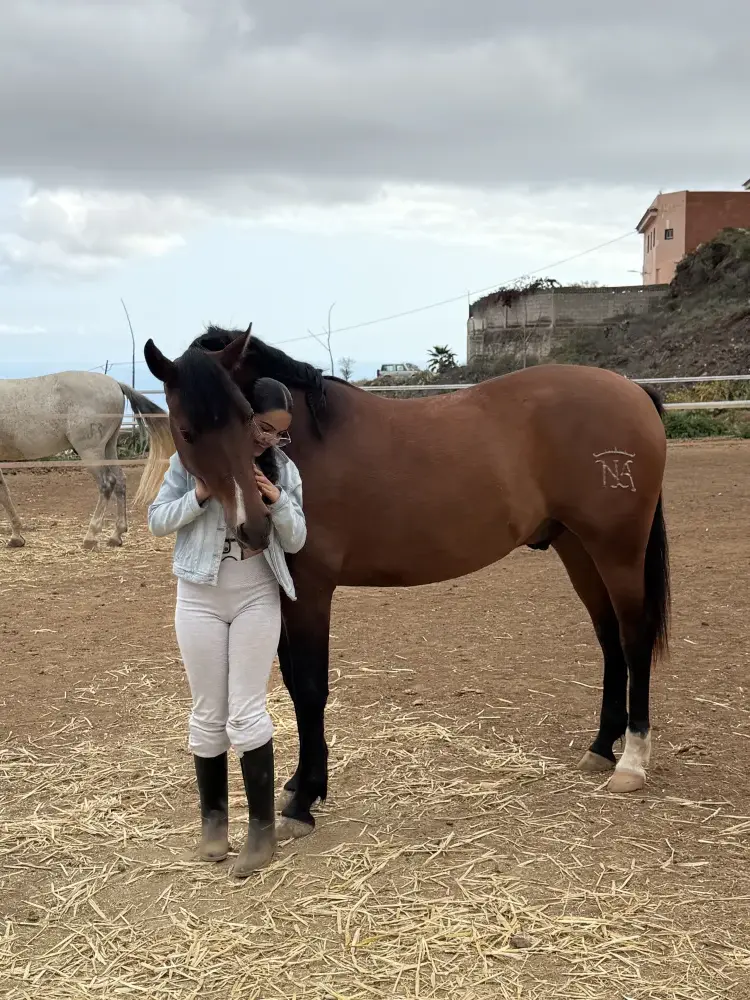 Niños aprendiendo sobre caballos en NA STABLOS